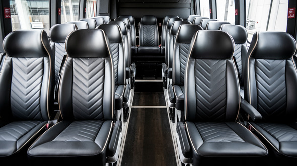 30 passenger minibus rental aventura