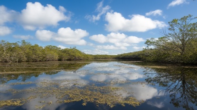 everglades national park